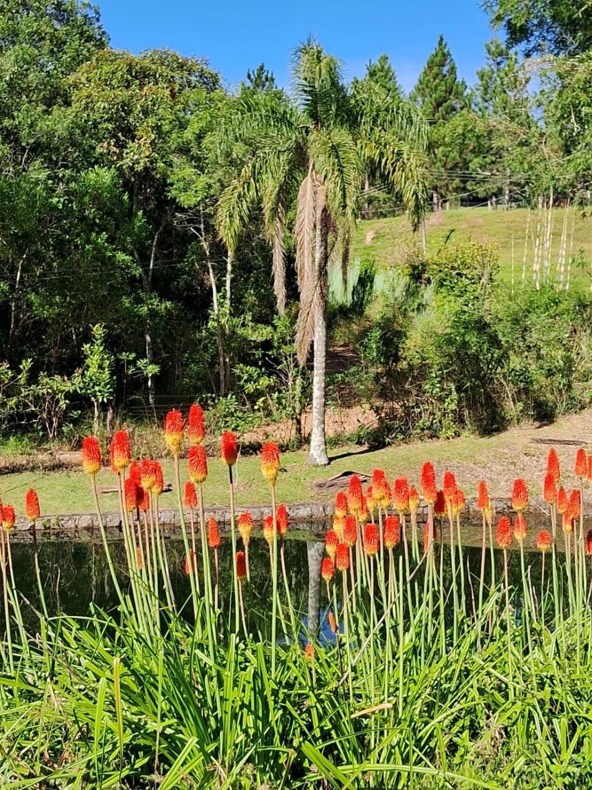 Vila Sitio Serra Das Paineiras Jundiaí Exteriér fotografie